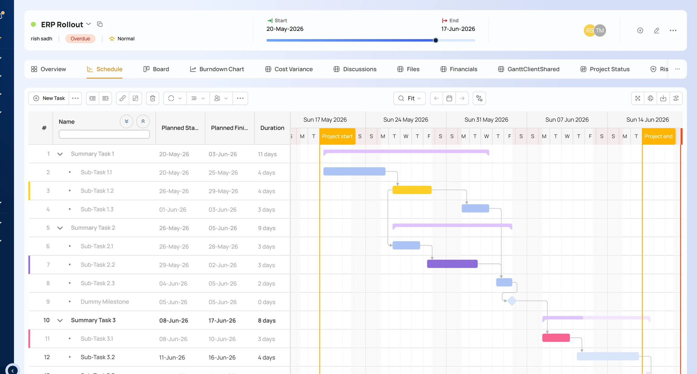 Interactive Gantt with dependencies and critical path across projects.